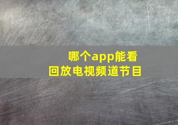 哪个app能看回放电视频道节目