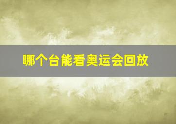 哪个台能看奥运会回放