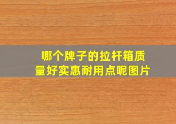 哪个牌子的拉杆箱质量好实惠耐用点呢图片