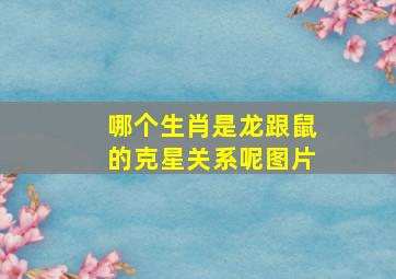 哪个生肖是龙跟鼠的克星关系呢图片