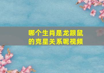 哪个生肖是龙跟鼠的克星关系呢视频