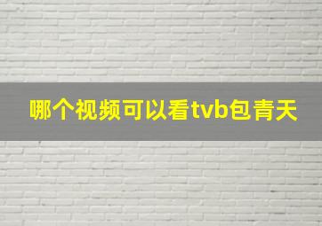 哪个视频可以看tvb包青天