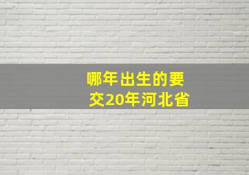 哪年出生的要交20年河北省