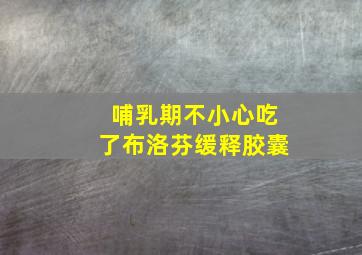 哺乳期不小心吃了布洛芬缓释胶囊