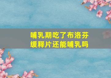 哺乳期吃了布洛芬缓释片还能哺乳吗