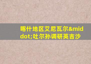 喀什地区艾尼瓦尔·吐尔孙调研英吉沙