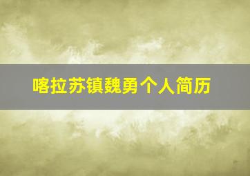 喀拉苏镇魏勇个人简历