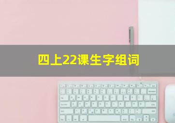 四上22课生字组词