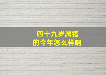 四十九岁属猪的今年怎么样啊