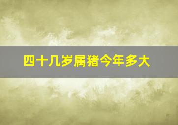 四十几岁属猪今年多大