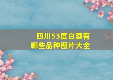 四川53度白酒有哪些品种图片大全