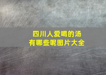 四川人爱喝的汤有哪些呢图片大全