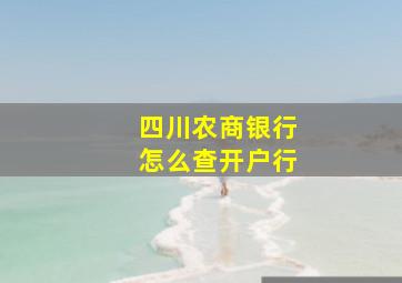 四川农商银行怎么查开户行