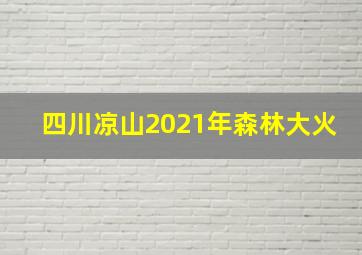 四川凉山2021年森林大火