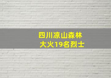 四川凉山森林大火19名烈士