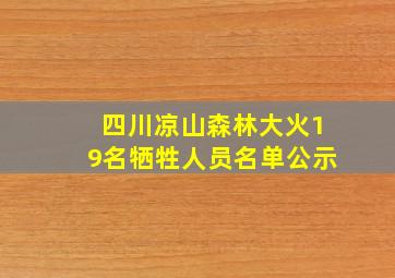 四川凉山森林大火19名牺牲人员名单公示