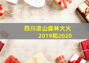 四川凉山森林大火2019和2020