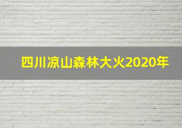 四川凉山森林大火2020年