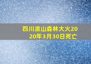 四川凉山森林大火2020年3月30日死亡