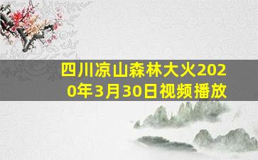 四川凉山森林大火2020年3月30日视频播放