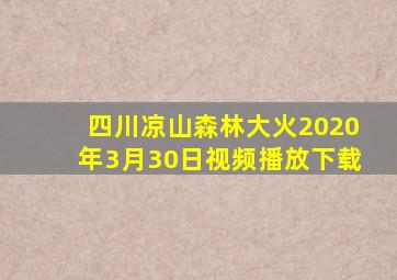 四川凉山森林大火2020年3月30日视频播放下载