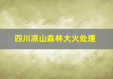 四川凉山森林大火处理