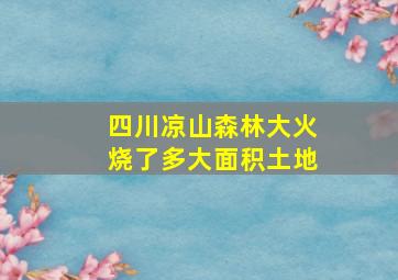 四川凉山森林大火烧了多大面积土地