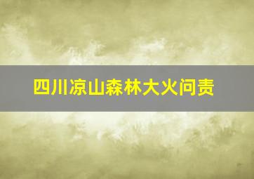 四川凉山森林大火问责