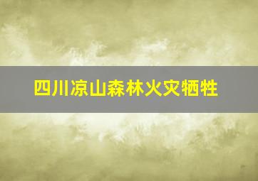 四川凉山森林火灾牺牲