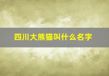 四川大熊猫叫什么名字