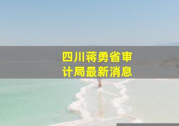 四川蒋勇省审计局最新消息