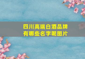 四川高端白酒品牌有哪些名字呢图片