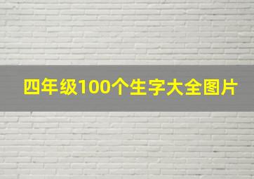 四年级100个生字大全图片