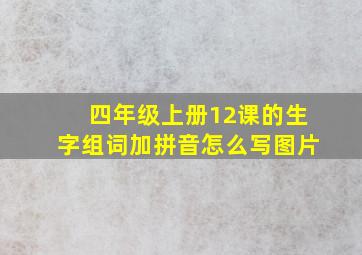 四年级上册12课的生字组词加拼音怎么写图片