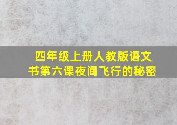 四年级上册人教版语文书第六课夜间飞行的秘密