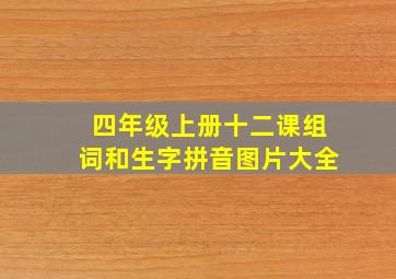 四年级上册十二课组词和生字拼音图片大全