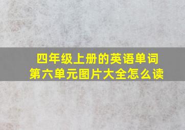 四年级上册的英语单词第六单元图片大全怎么读