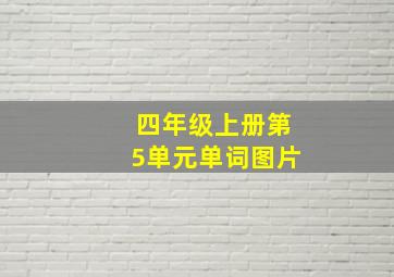 四年级上册第5单元单词图片