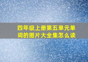 四年级上册第五单元单词的图片大全集怎么读