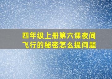 四年级上册第六课夜间飞行的秘密怎么提问题