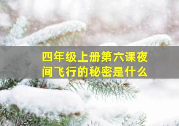 四年级上册第六课夜间飞行的秘密是什么