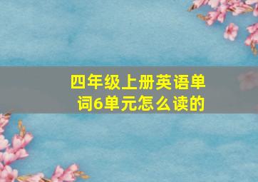 四年级上册英语单词6单元怎么读的