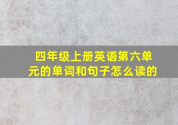 四年级上册英语第六单元的单词和句子怎么读的