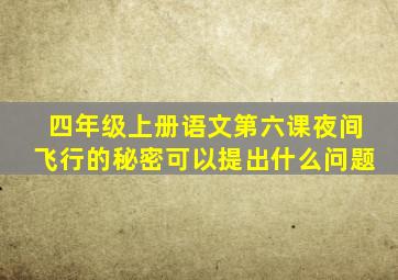 四年级上册语文第六课夜间飞行的秘密可以提出什么问题