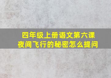 四年级上册语文第六课夜间飞行的秘密怎么提问