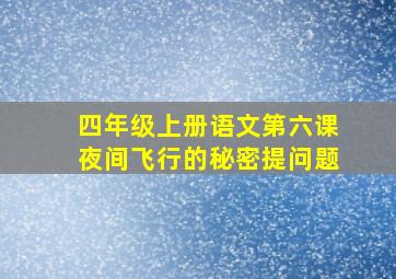 四年级上册语文第六课夜间飞行的秘密提问题