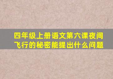 四年级上册语文第六课夜间飞行的秘密能提出什么问题