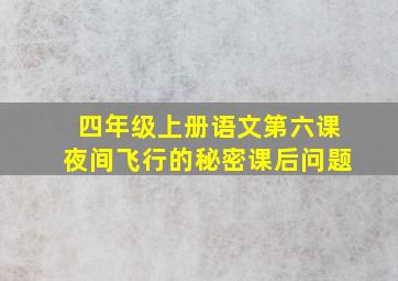 四年级上册语文第六课夜间飞行的秘密课后问题