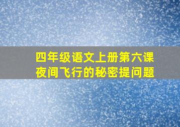 四年级语文上册第六课夜间飞行的秘密提问题