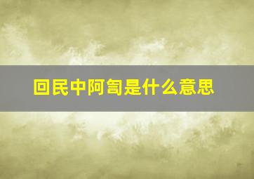 回民中阿訇是什么意思